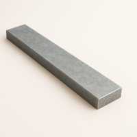 Подшипниковая полоса 100х14 мм ШХ15